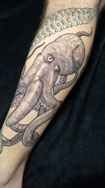 Animal