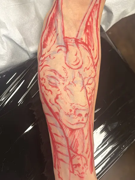 Animal, Tiger