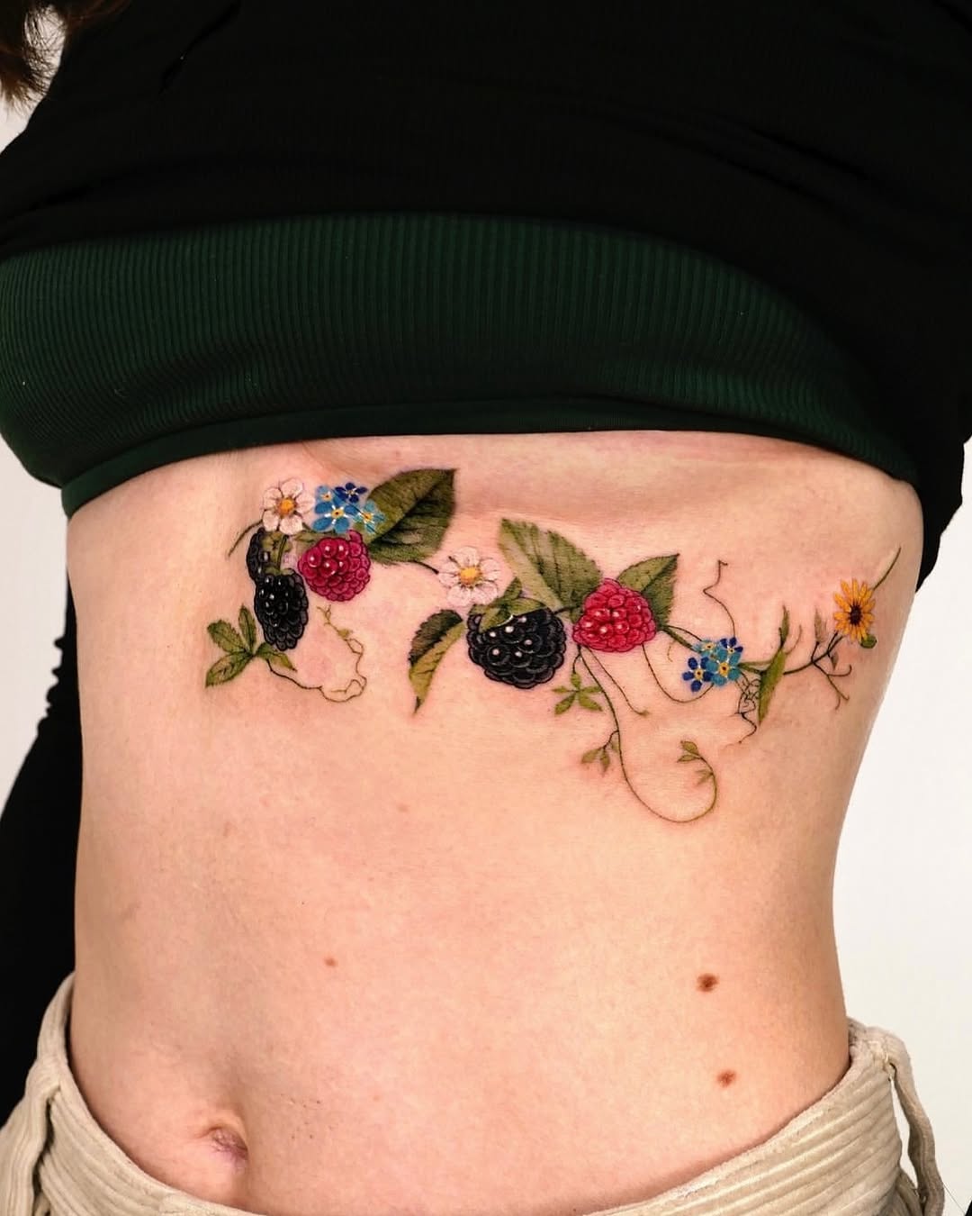 Flower, Rose, Nature