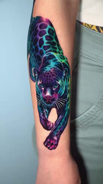 Animal