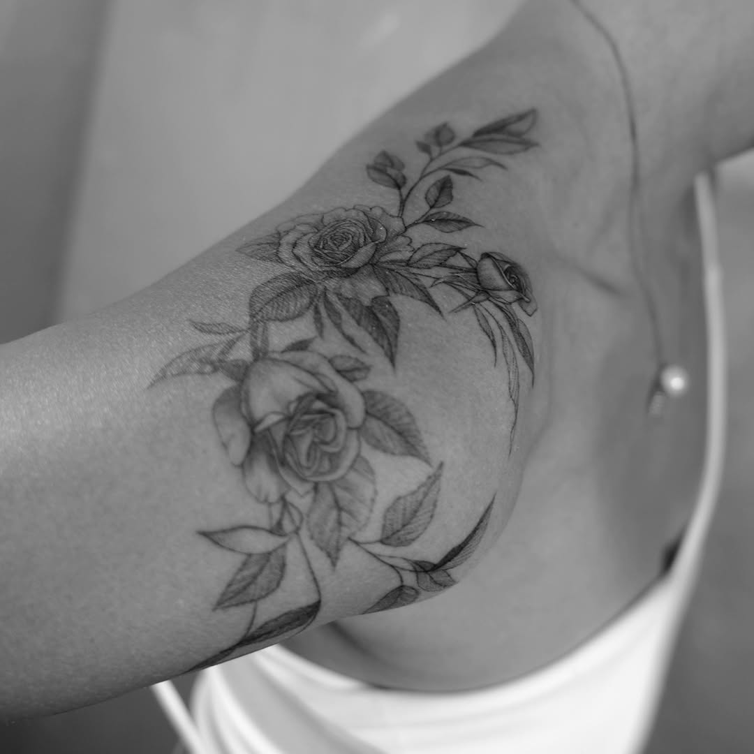 Flower, Rose, Nature