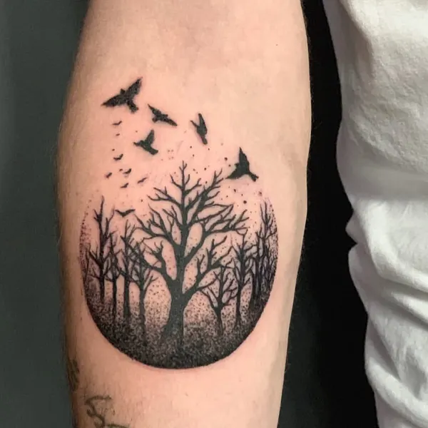 Nature