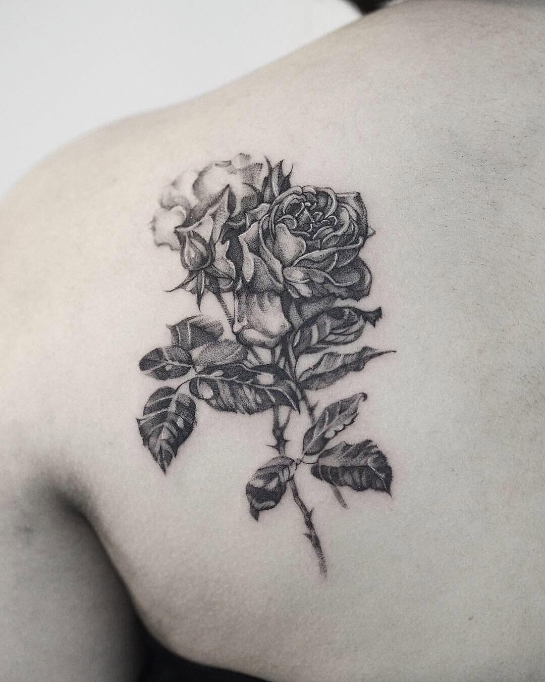 Flower, Rose