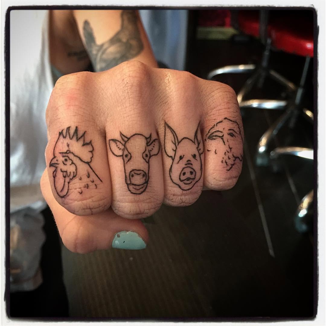 Animal