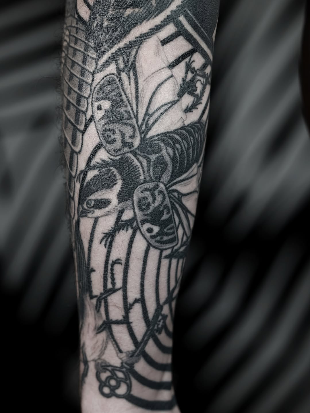joshstephenstattoos