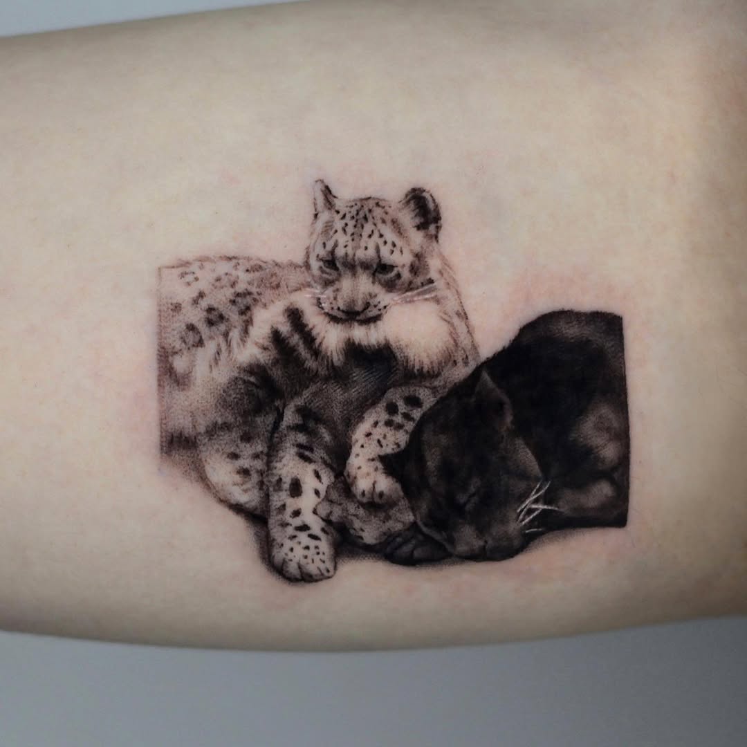 40.tatt