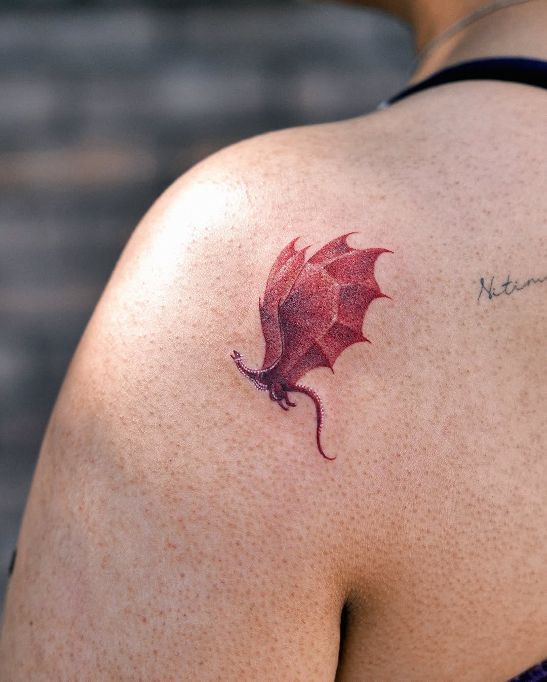 Dragon