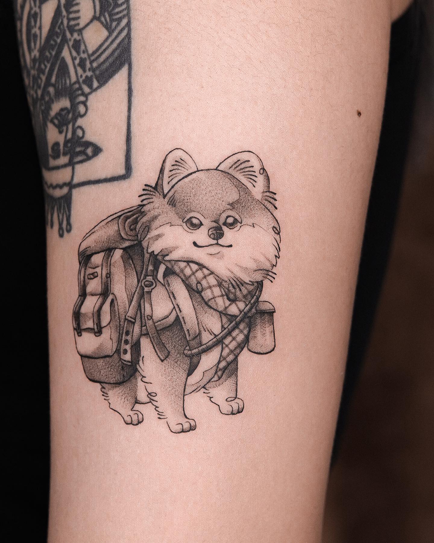 fawn.ink