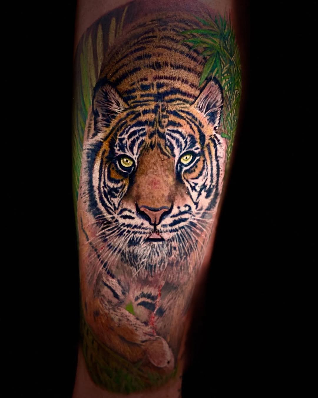 Tiger