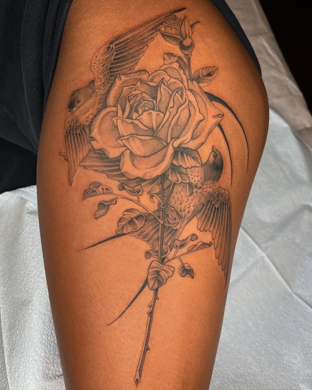 Flower, Rose