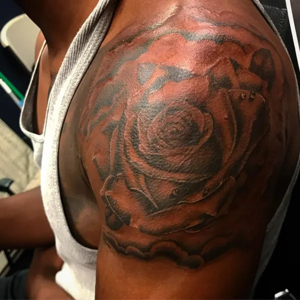 Flower, Rose