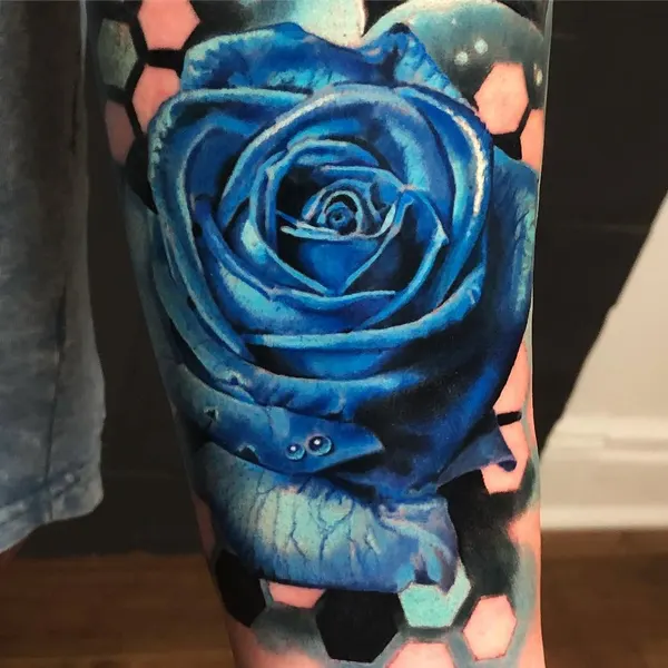 Flower, Rose