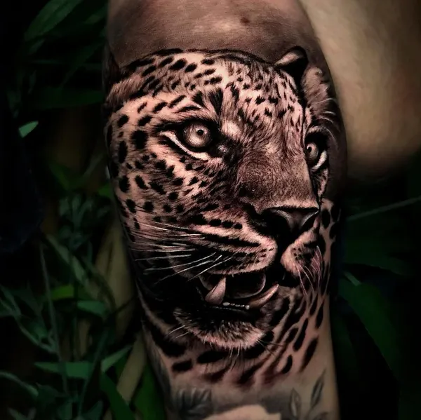 Animal, 치타, 표범, 재규어
