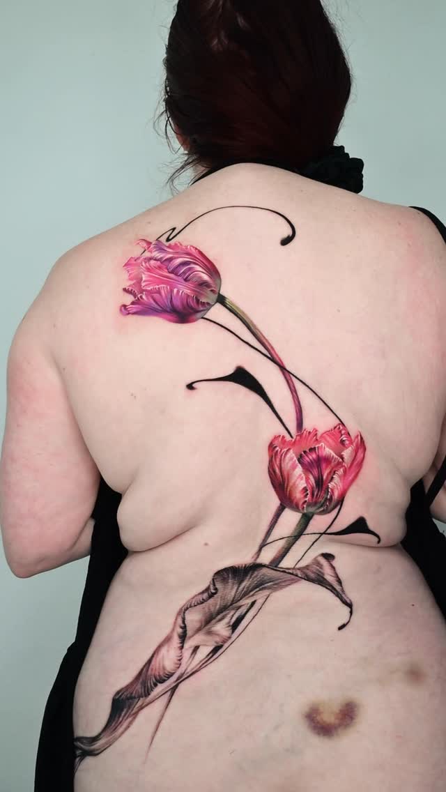 Flower, Nature, Rose