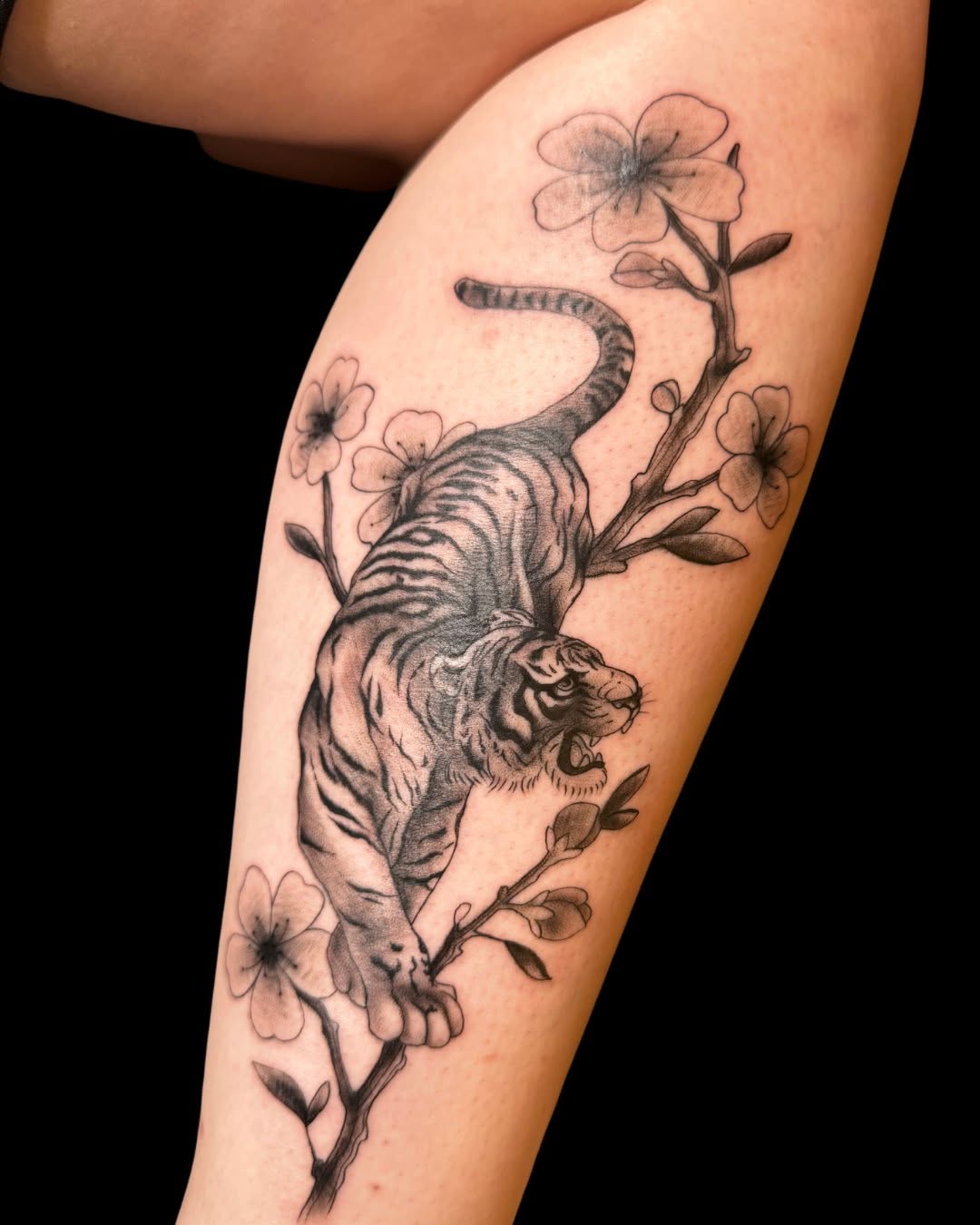 Tiger