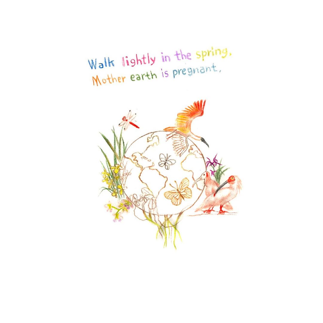 Flower, Animal, Nature