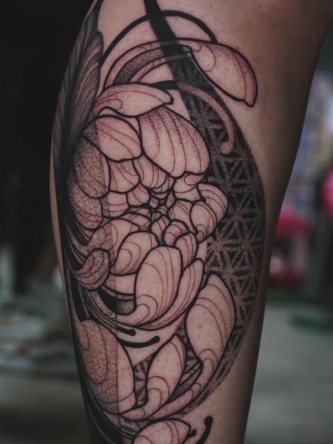 Flower, Rose