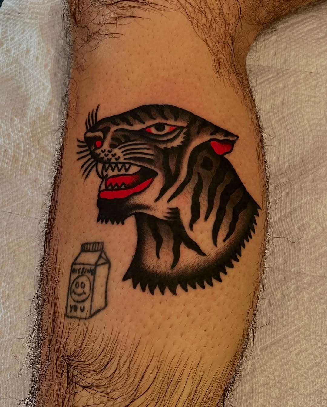 Tiger, Animal