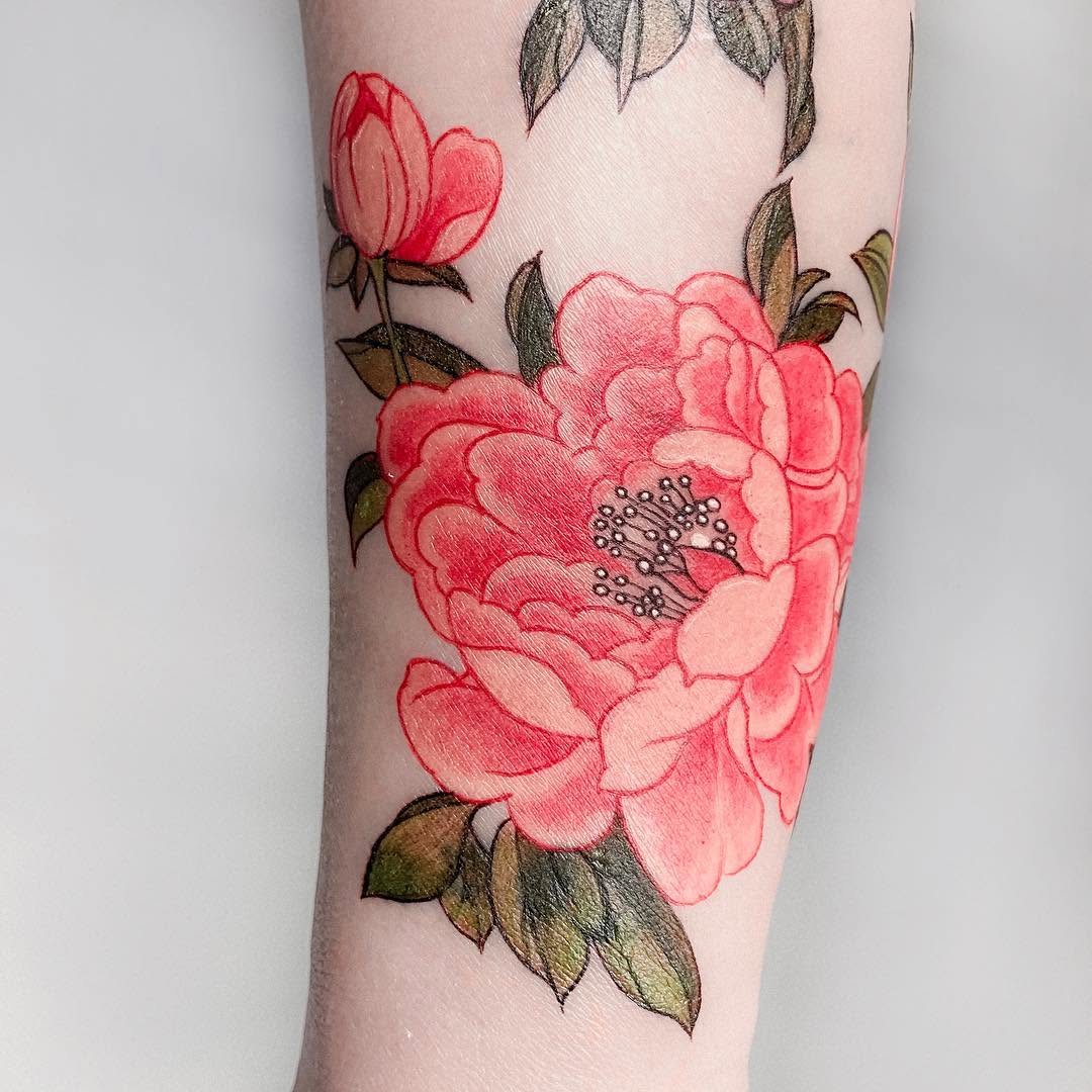 Flower, Rose