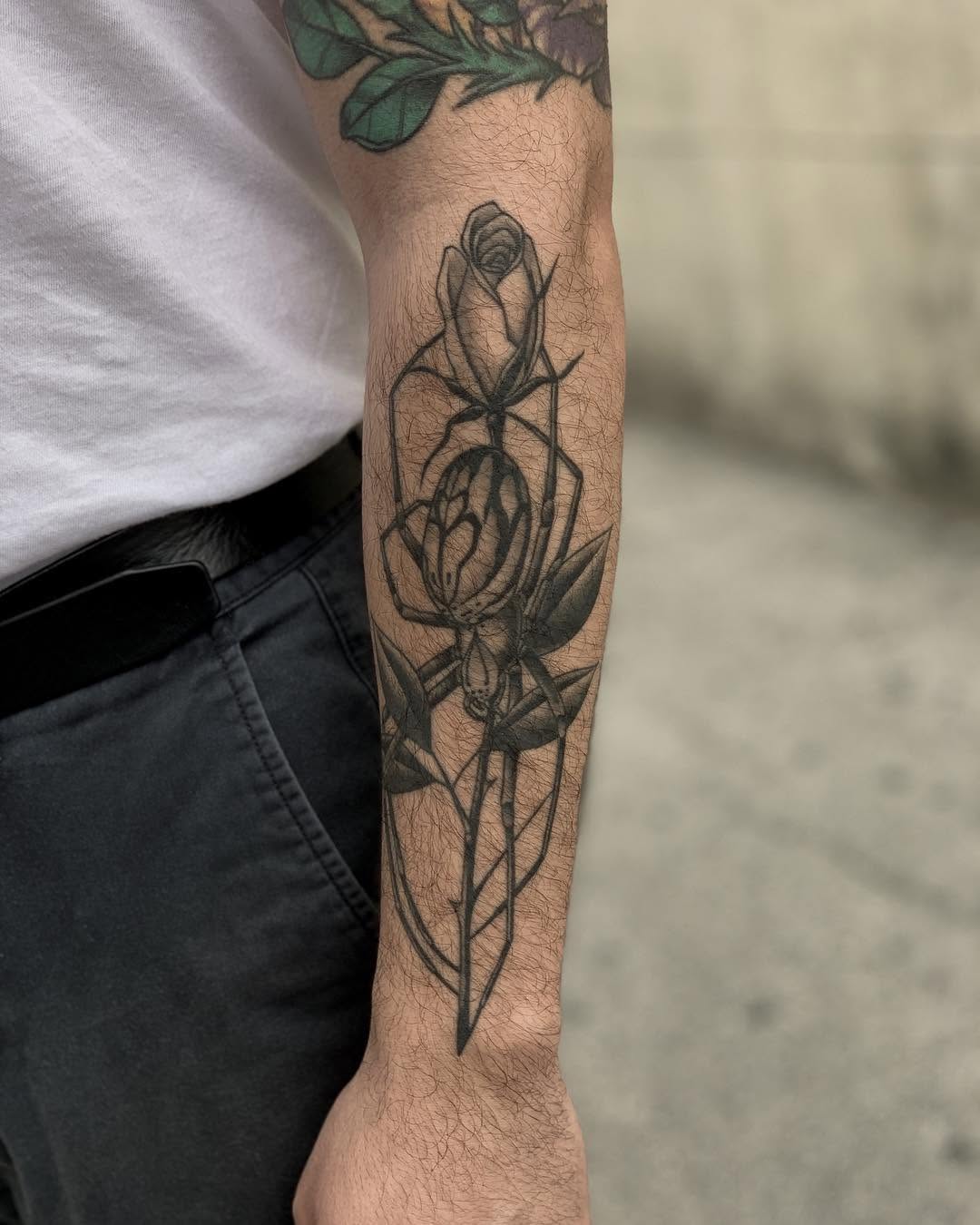 Flower, Rose