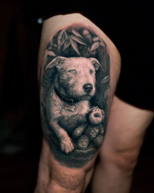Animal