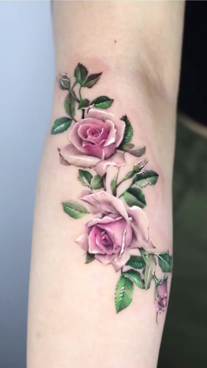 Flower, Rose
