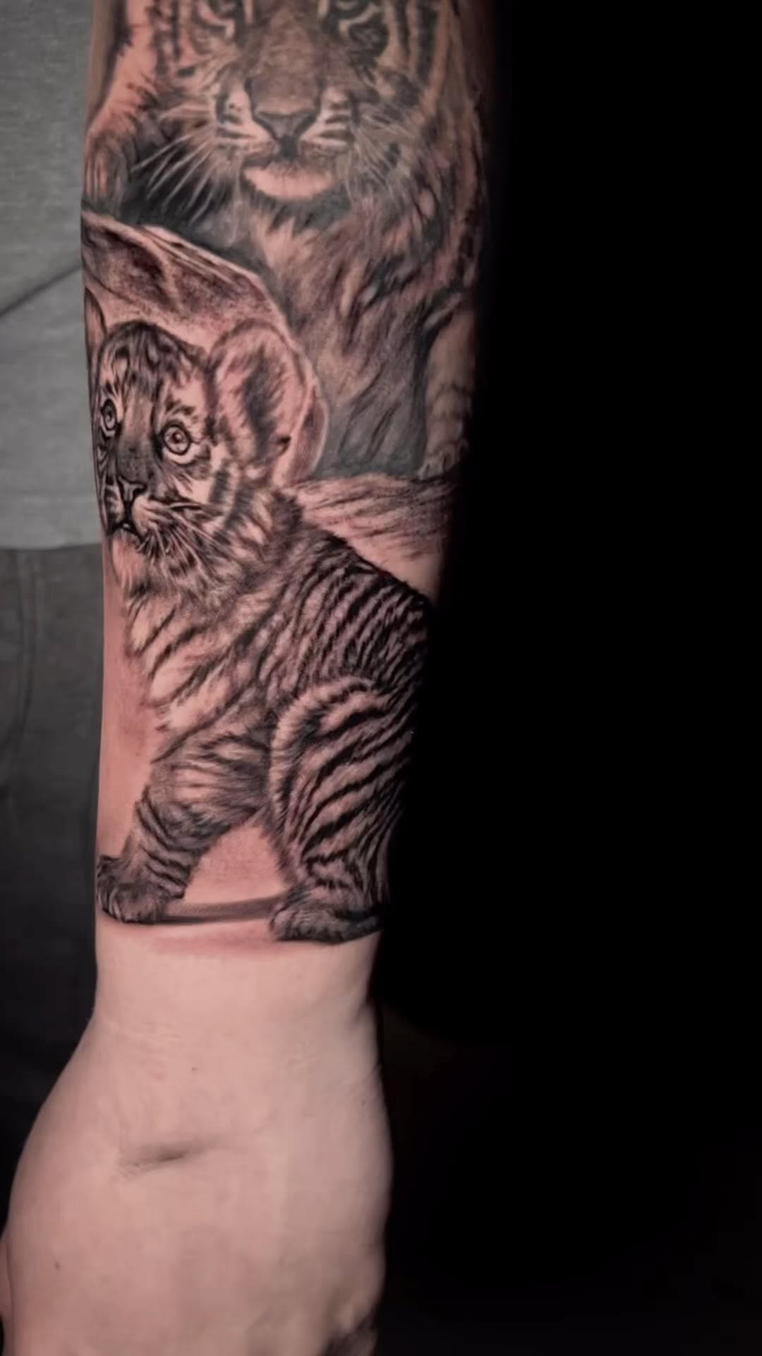 Tiger