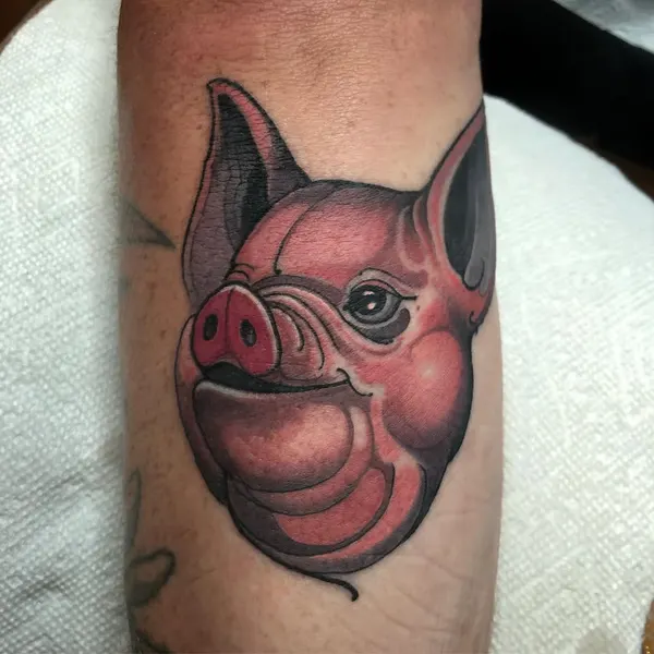 Animal