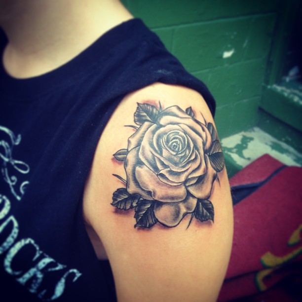 Rose, Nature, Flower