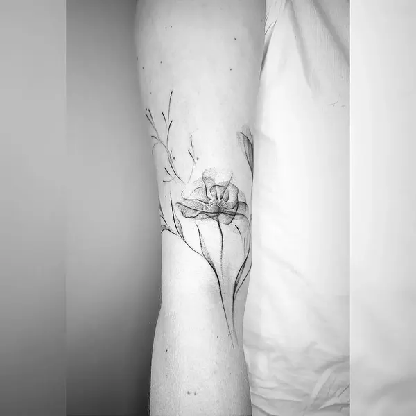 Flower, Rose