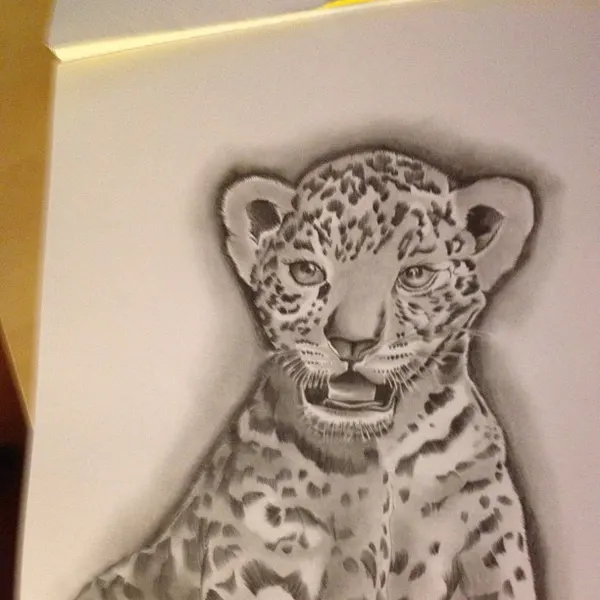 Animal
