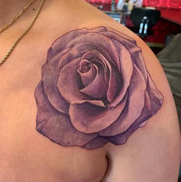 Flower, Rose, Nature