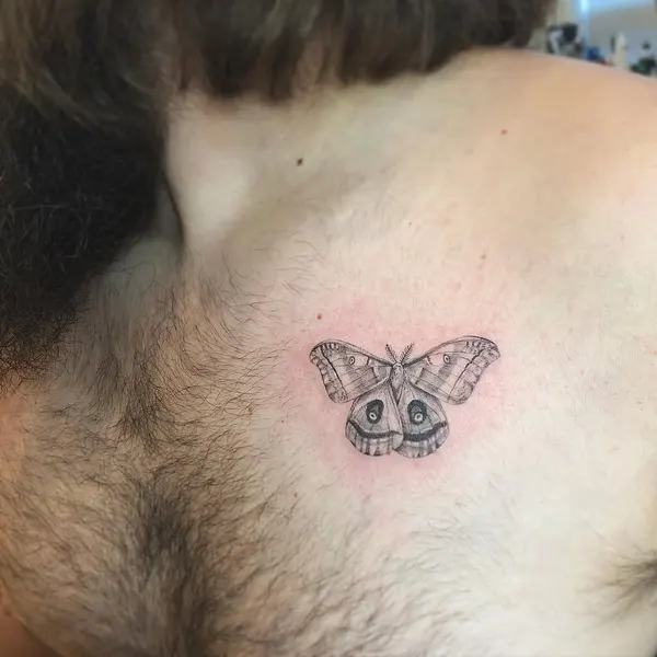 Animal