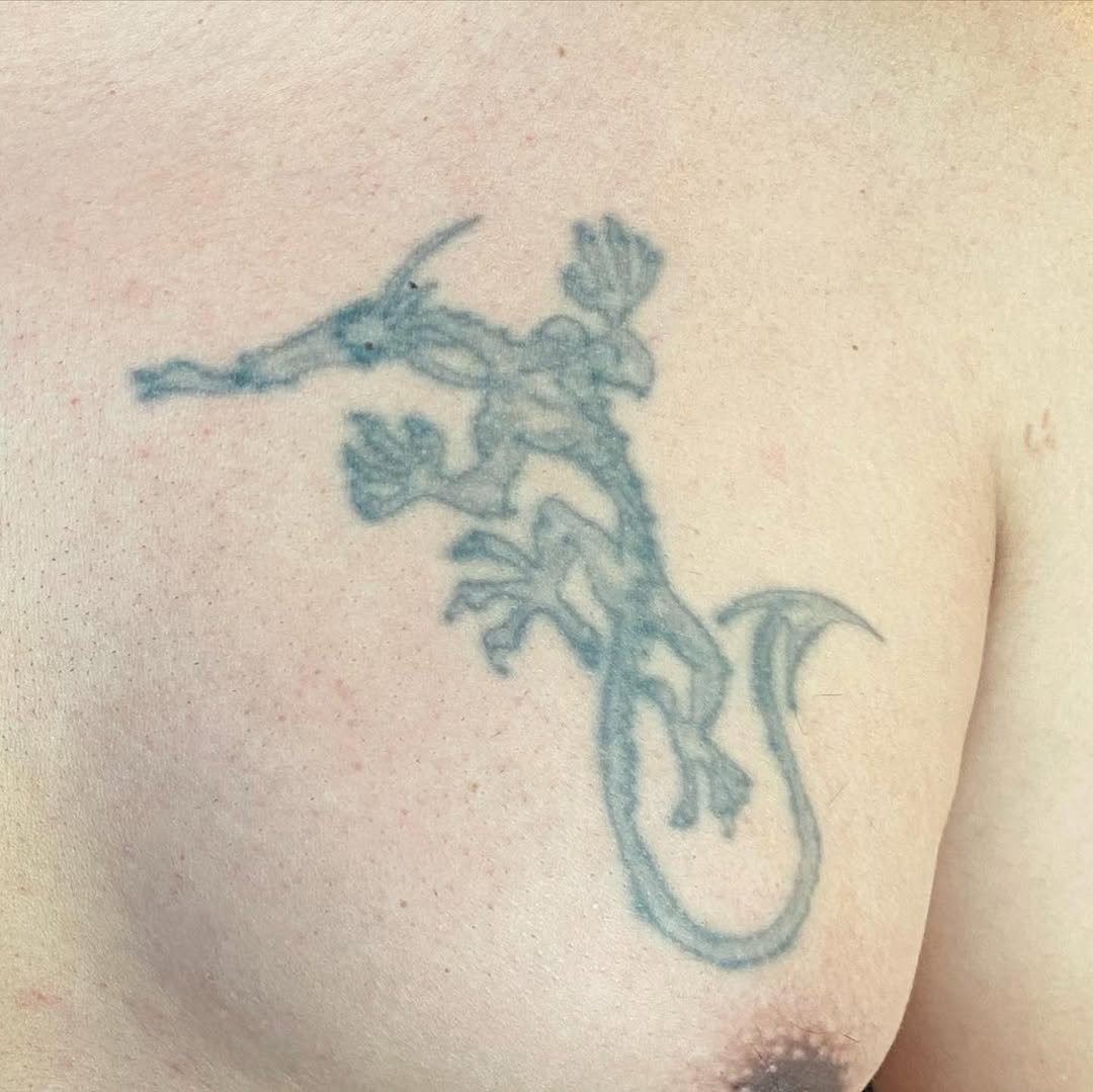 Dragon, Animal
