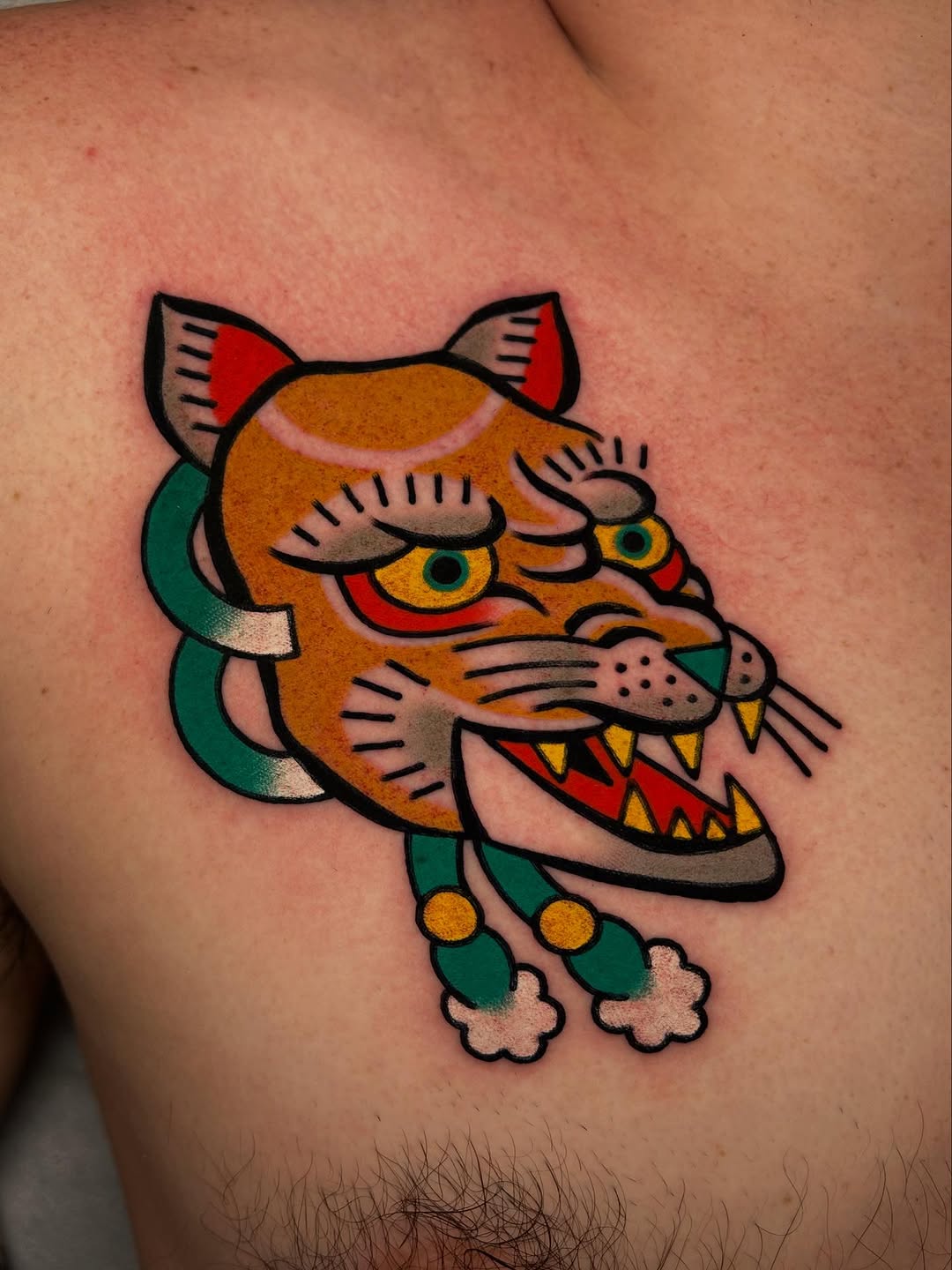 Animal, Tiger