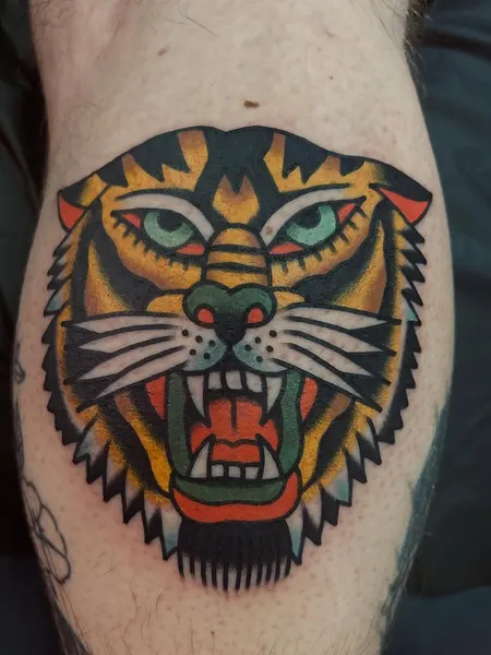 Tiger, Animal
