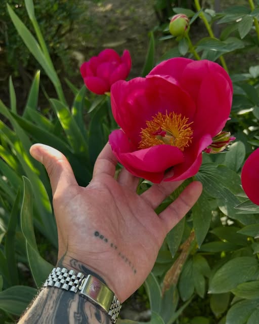 Flower, 난초