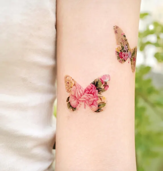 Animal, Nature