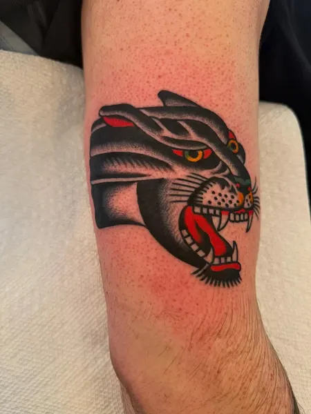 Tiger, Animal