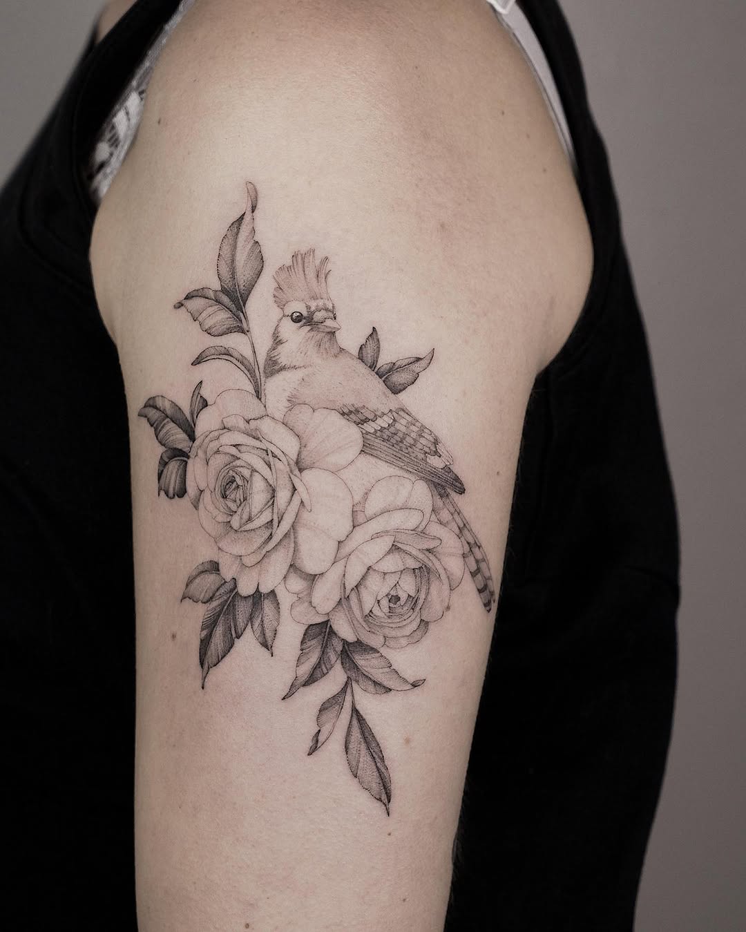 Flower, Animal, Nature