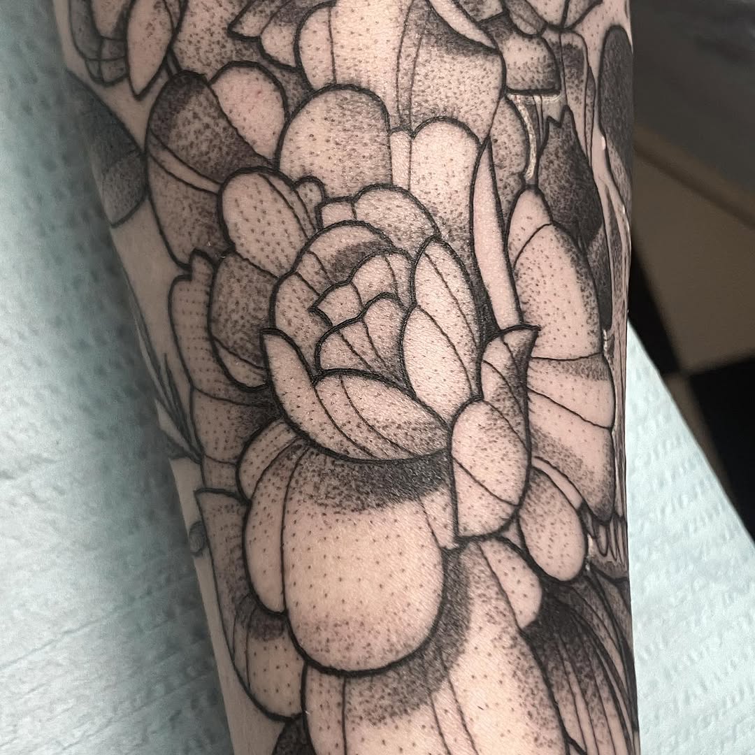 sarastigmata