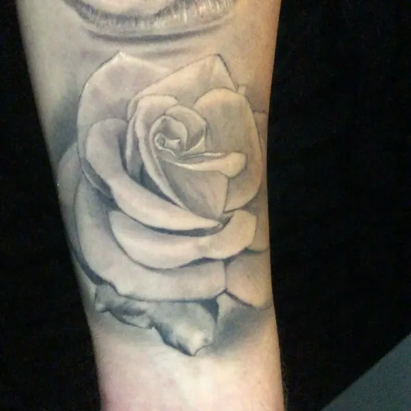 Flower, Rose