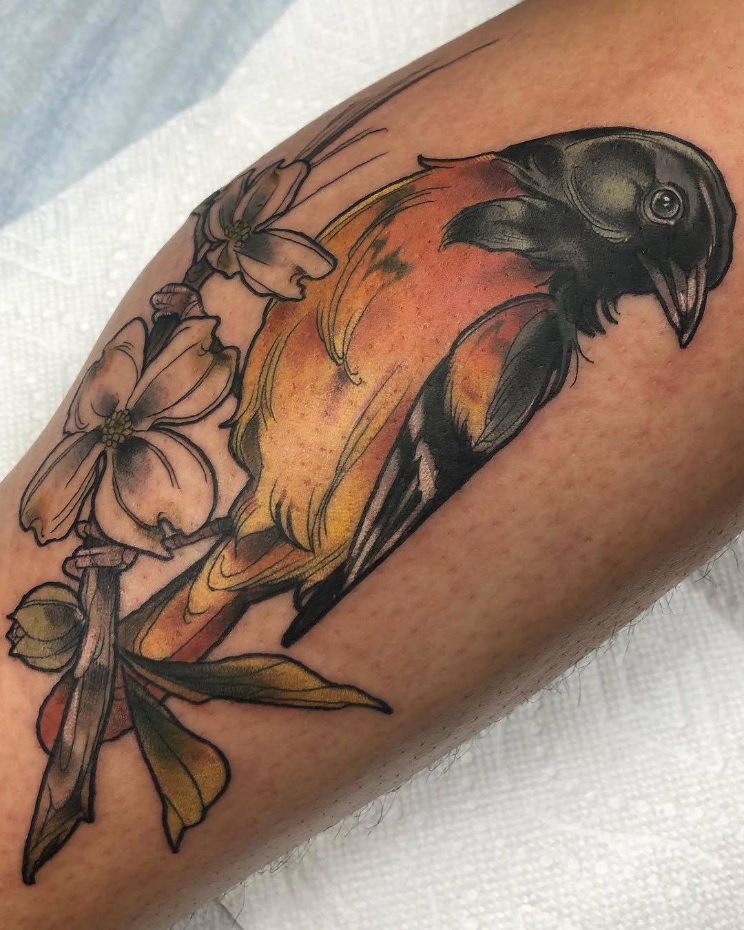 Animal, Flower
