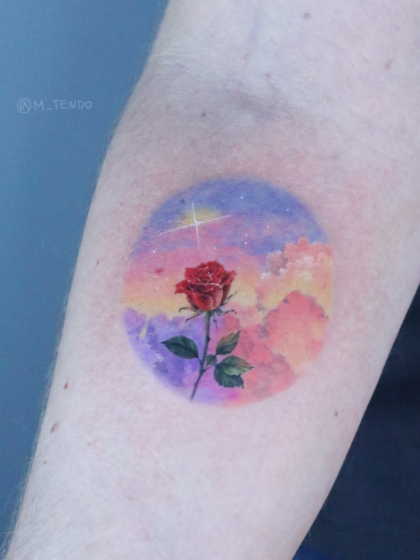 Flower, Rose