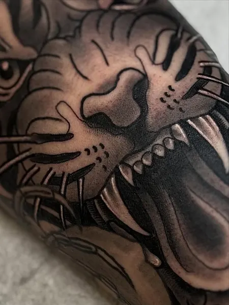 Animal, Tiger