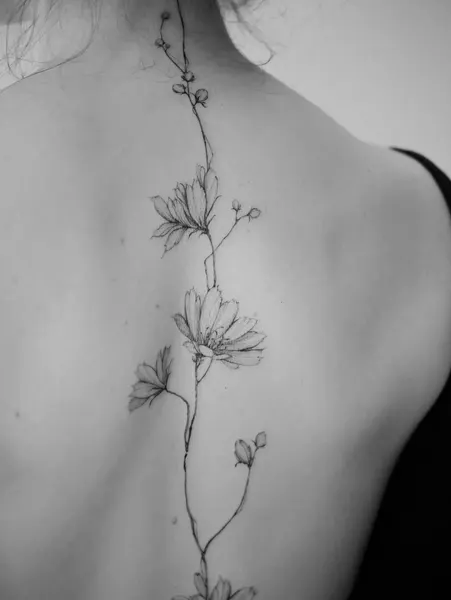 Flower, Nature, Rose