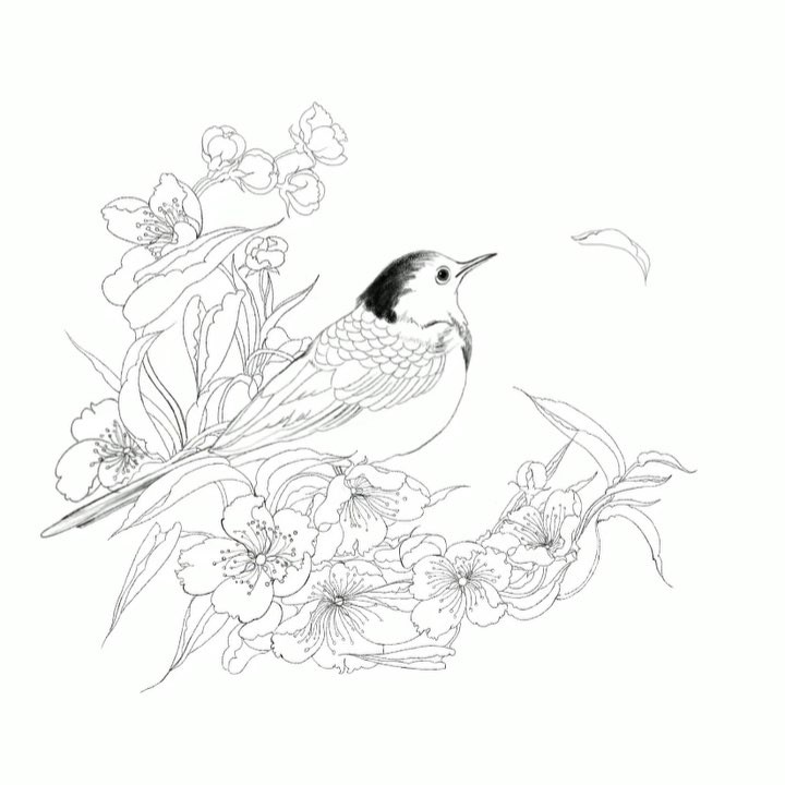 Flower, Animal