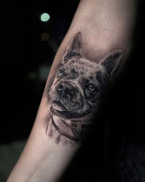 Animal
