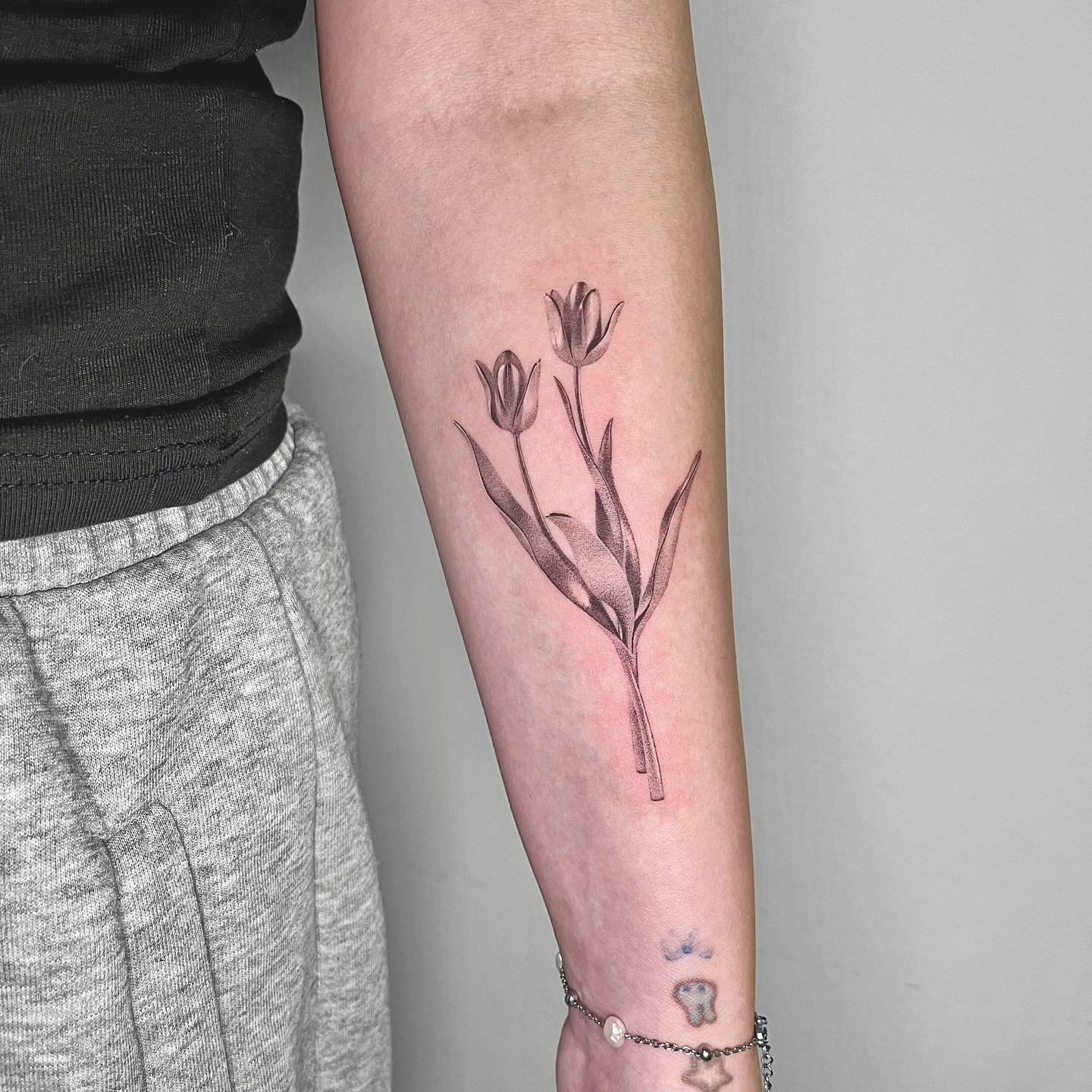 Flower, 튤립, Rose