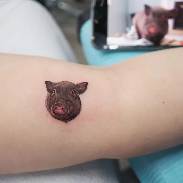 Animal